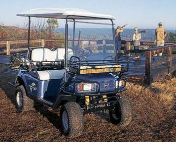 EZGO RXV Platinum